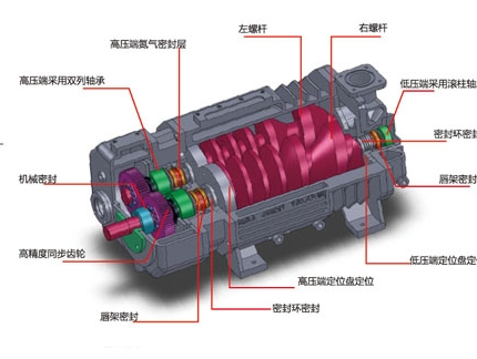 等距螺桿真空泵組成結構圖